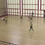 serie b di futsal